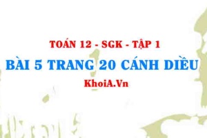 Bài 5 trang 20 Toán 12 tập 1 Cánh Diều
